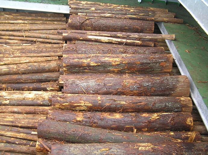 Log